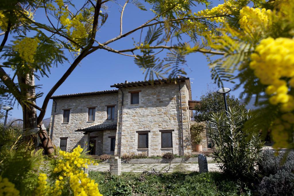 Villa Rosy Ассізі Екстер'єр фото