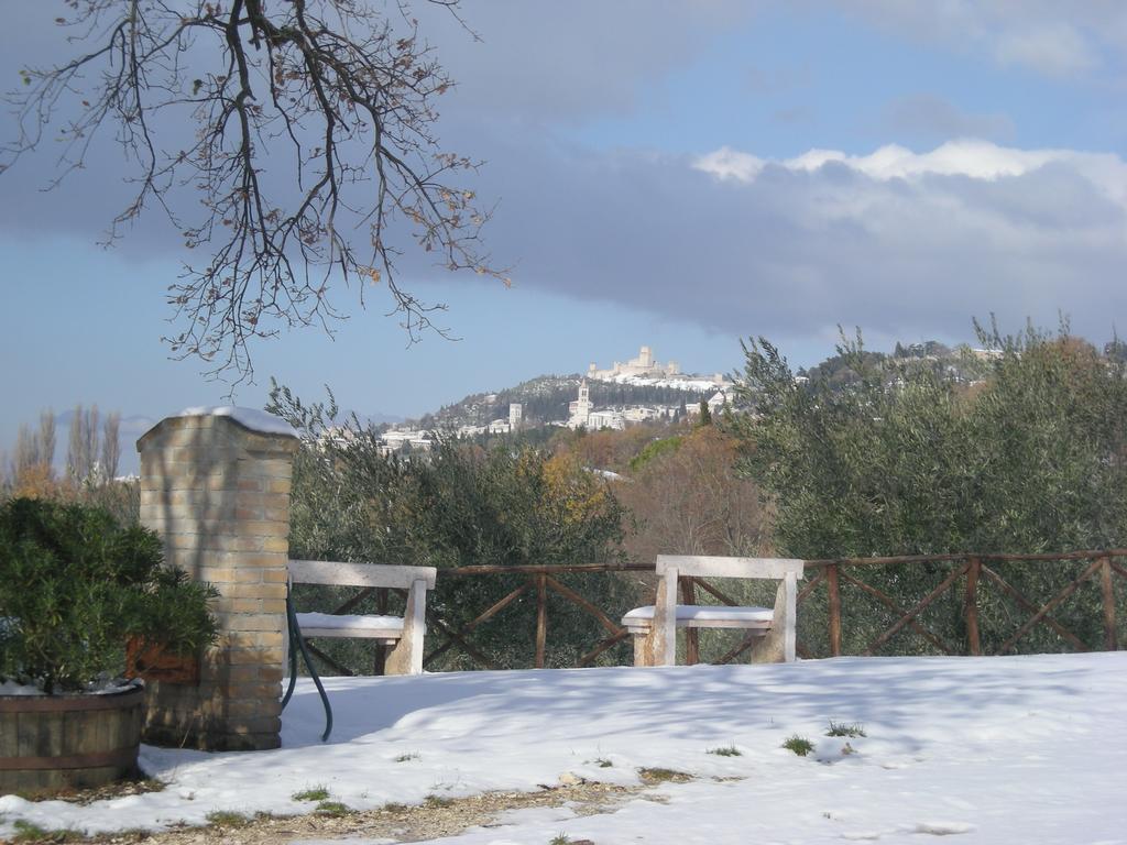Villa Rosy Ассізі Екстер'єр фото